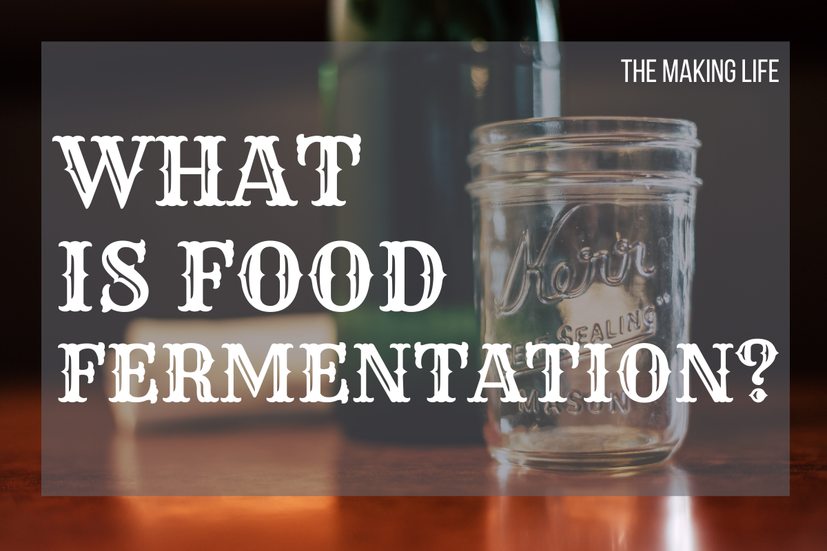 What is Food Fermentation? - the Making Life