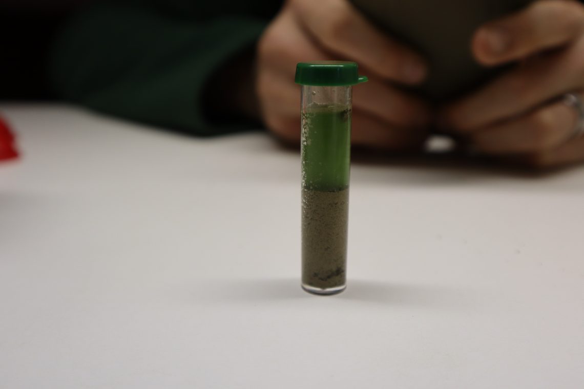How to Use a Soil Test Kit For Your Home Garden - the Making Life