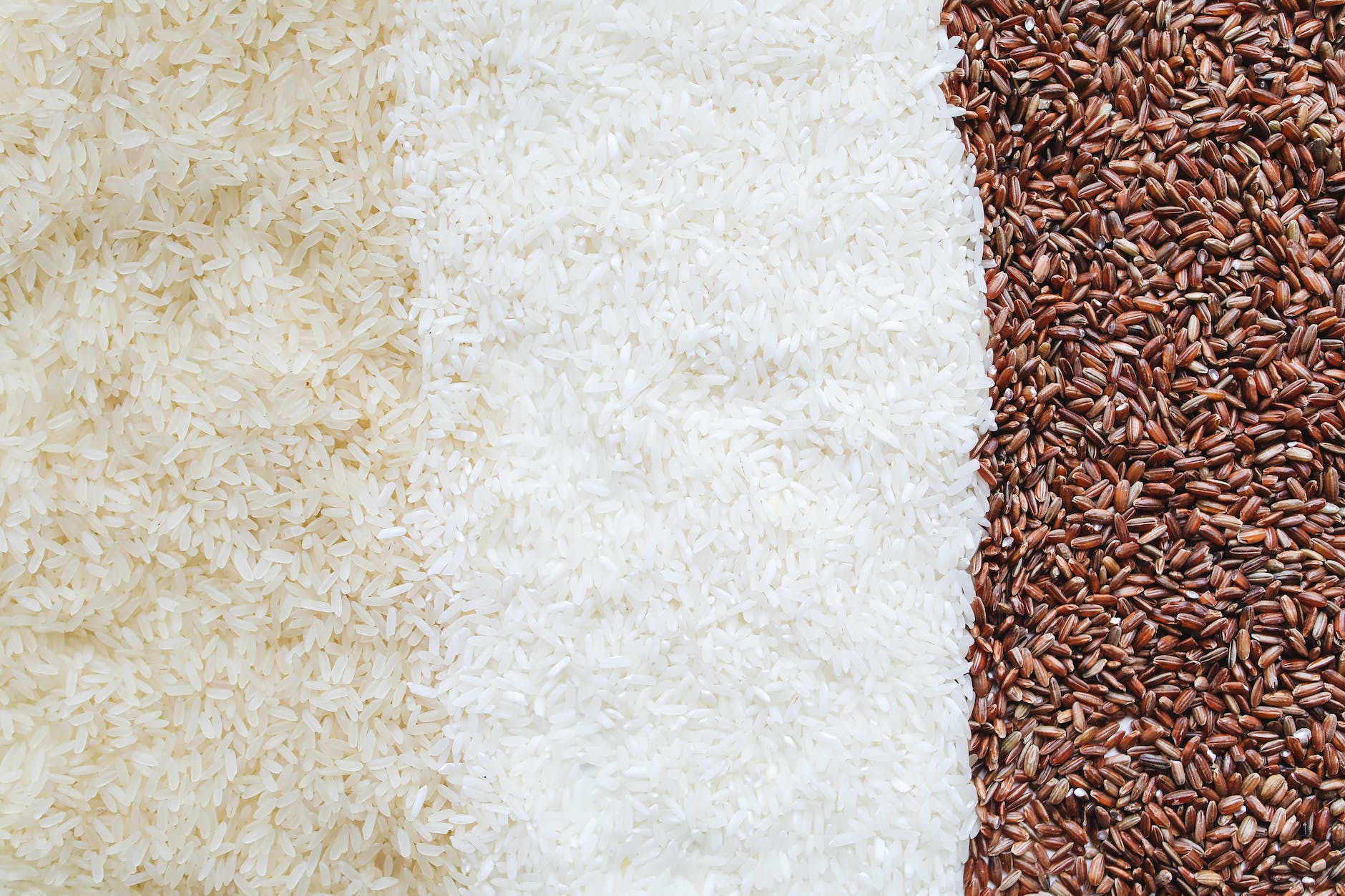 close up photo of assorted rice